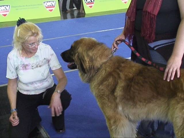 Salzburg Clubschau Mai 06 061 